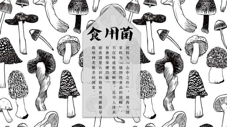 城市古风创意极简简约ppt模板图片