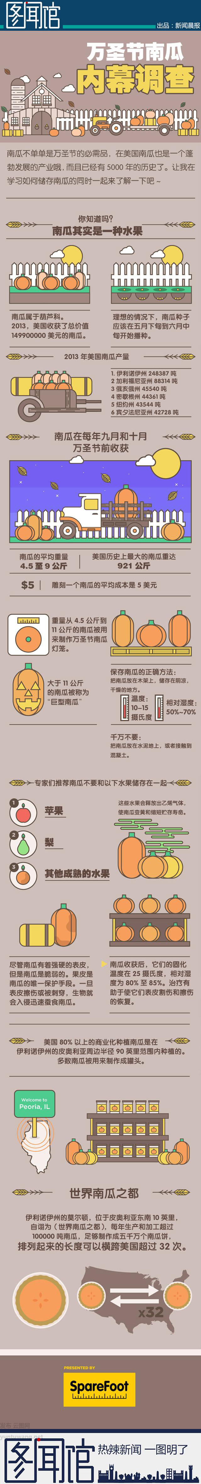 【演界信息圖表】簡約質感-萬圣節(jié)帶你看南瓜