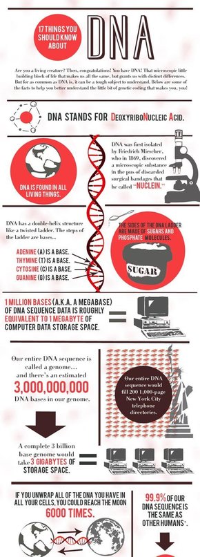 【演界信息圖表】簡約質(zhì)感-關(guān)于DNA你必須知道的17件事情