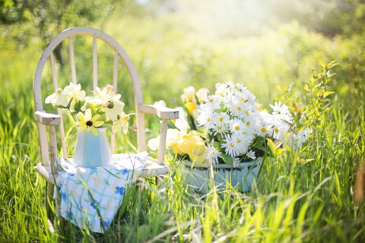 【桌面壁紙】夏日草地靜物