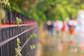 【桌面壁紙】夏日雨后林蔭行人