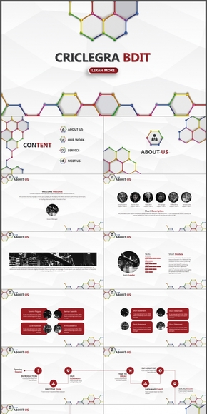  Honeycomb Creative Low Face Style General Template for Business Work