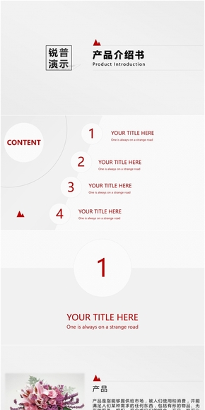 紅藍簡約商務產(chǎn)品說明書PPT模板