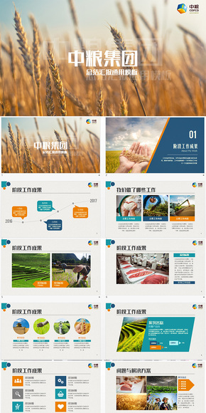 中糧集團(tuán)年終年中總結(jié)匯報keynote模板