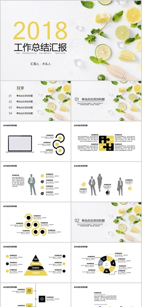 小清新個人工作總結(jié)述職報告ppt模板