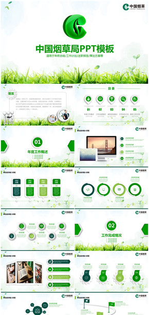 綠色微粒體中國煙草年終總結述職報告通用PPT模板