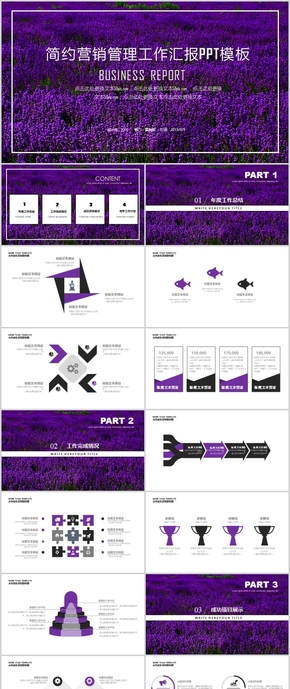 紫色簡約清新工作總結匯報述職報告PPT模板