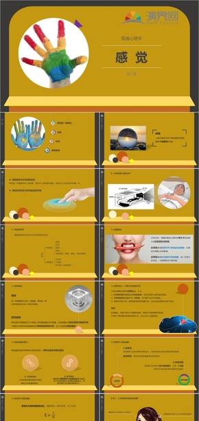 普通心理學(xué)教學(xué)課件之第三章 感覺