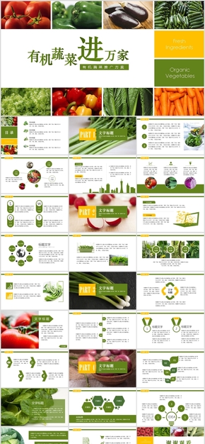 有機(jī)蔬菜進(jìn)萬家宣傳推廣活動模板