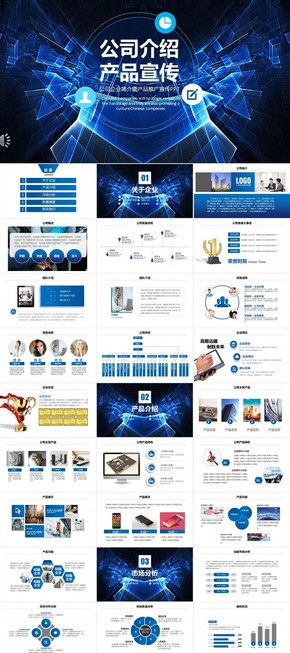 商務報告公司介紹產(chǎn)品宣傳PPT