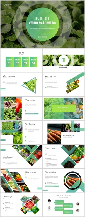 綠色農(nóng)業(yè)蔬菜水果有機(jī)天然健康養(yǎng)生ppt模板