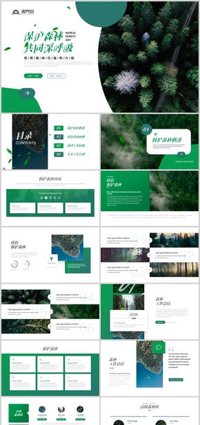 綠色時(shí)尚大氣保護(hù)森林解決方案環(huán)保畫冊(cè)PPT模板