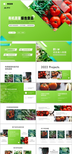 绿色高级感有机蔬菜安全食品商业计划书PPT模板