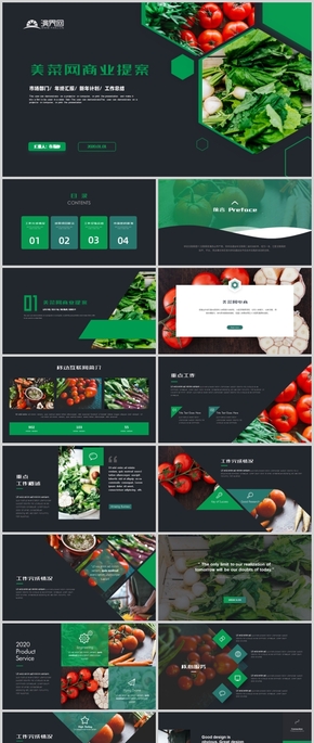高端商務(wù)風(fēng)某菜網(wǎng)商業(yè)計劃書公司簡介工作總結(jié)匯報PPT模板