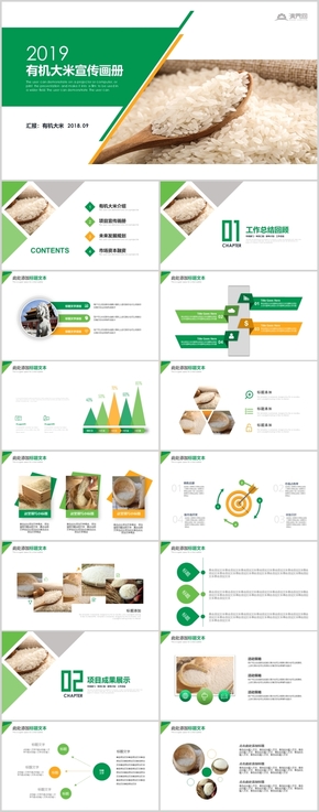 綠色有機(jī)大米稻田水稻大米農(nóng)業(yè)豐收PPT模板