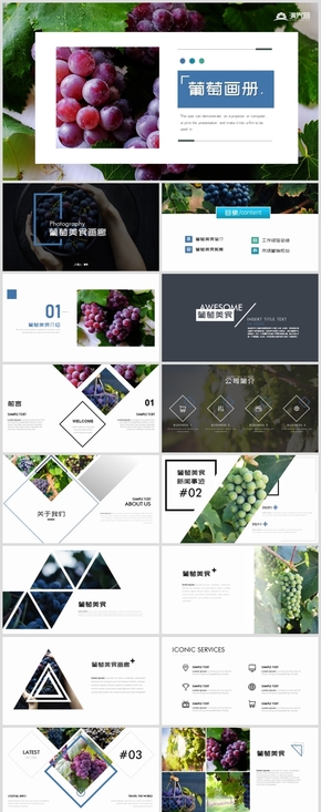 時(shí)尚葡萄水果宣傳畫(huà)冊(cè)葡萄園種植產(chǎn)業(yè)PPT模板