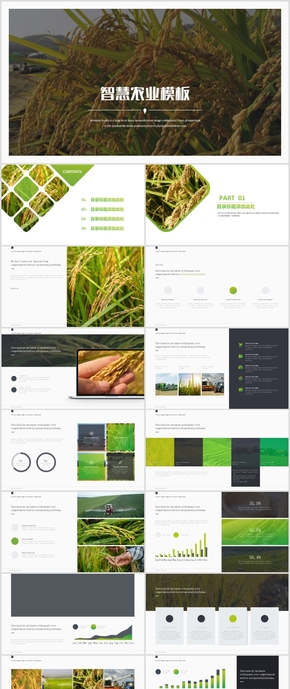 2018全新智慧農(nóng)業(yè)現(xiàn)代農(nóng)業(yè)技術推廣報告工作總結(jié)PPT模板