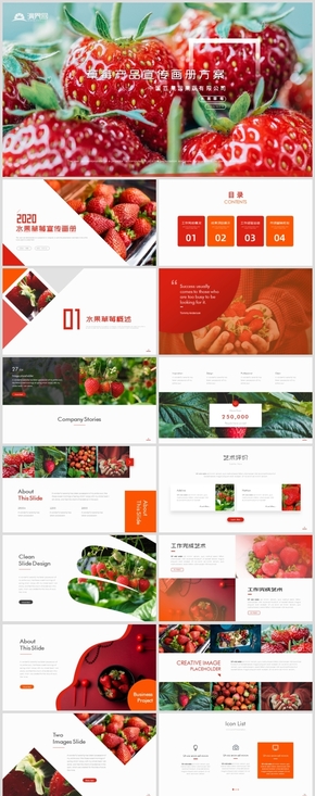 時(shí)尚草莓產(chǎn)品市場(chǎng)推廣方案食品安全畫(huà)冊(cè)PPT