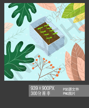 植物插畫 高清綠植psd png素材