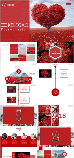 簡約漸變風(fēng)公司簡介企業(yè)介紹工作計劃總結(jié)匯報商業(yè)融資計劃書ppt模板