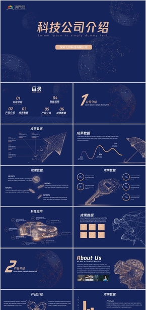 2019科技感藍色金色工作總結公司介紹