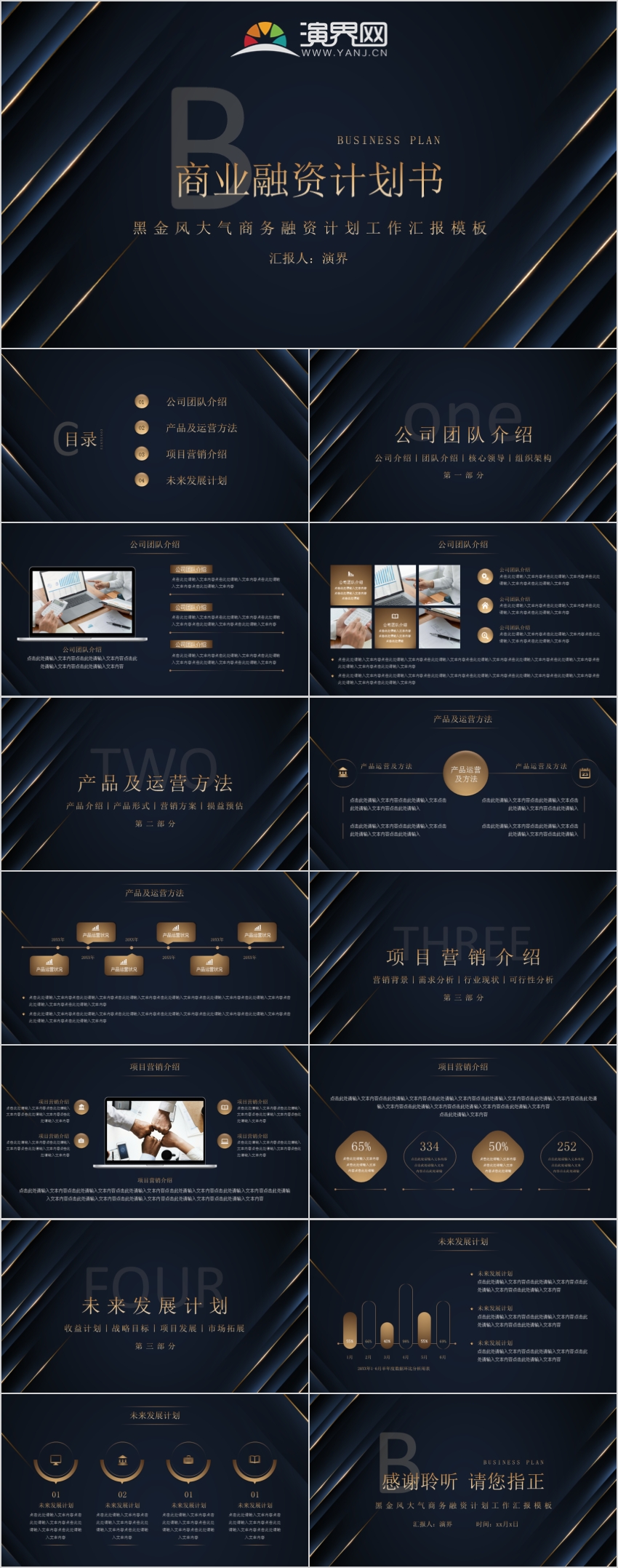 高端黑金風商務融資計劃匯報