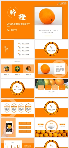 商務(wù)風(fēng)臍橙營銷策劃農(nóng)產(chǎn)品推廣臍橙PPT