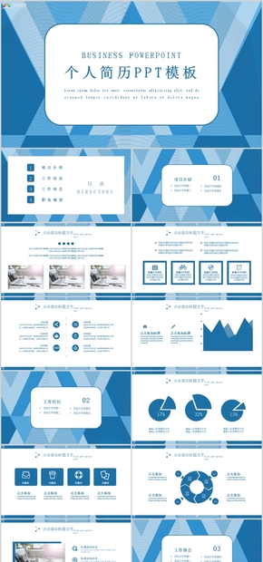 藍色簡約大氣個人求職應聘職業(yè)規(guī)劃PPT模板