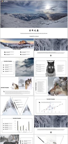 旅游風(fēng)景雪山森林動物彩色商務(wù)雜志時尚創(chuàng)意簡約風(fēng)工作匯報商業(yè)計劃書述職報告公司簡介產(chǎn)品介紹PPT模板