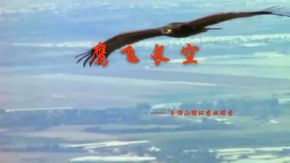 鷹飛長(zhǎng)空——  平頂山循環(huán)農(nóng)業(yè)探索