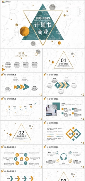 2019商業(yè)計劃書項目展示投資要求PPT模板