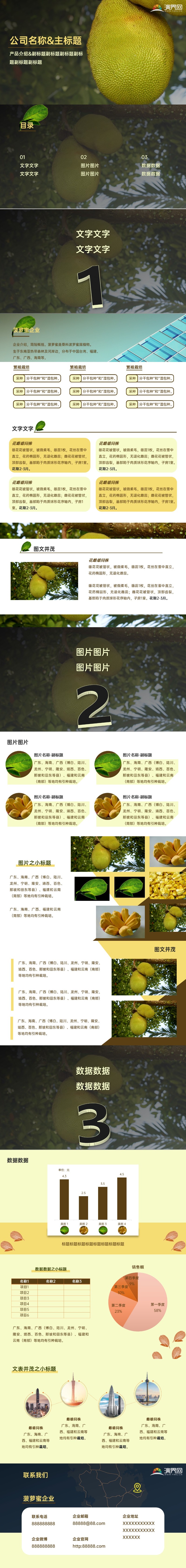 黃粽米色產(chǎn)品介紹企業(yè)項(xiàng)目PPT模板