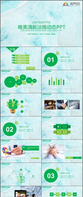 唯美清新淡雅工作計(jì)劃總結(jié)匯報(bào)會議報(bào)告通用PPT模板20