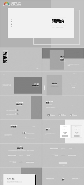 96頁淺灰色調研報告市場調查