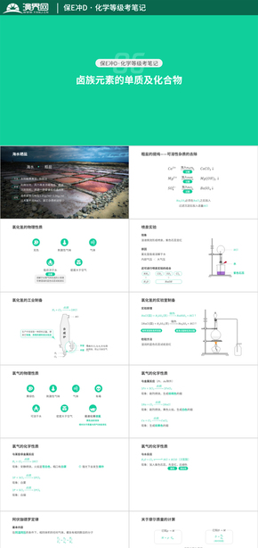 【上?；瘜W(xué)等級(jí)考】保E沖D·鹵族元素的單質(zhì)及化合物（知識(shí)點(diǎn)整理）