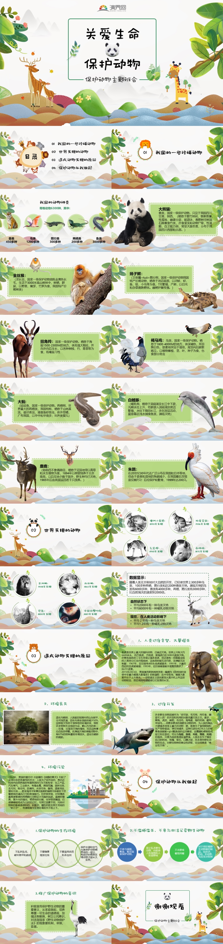 綠色小清新卡通兒童課件保護動物主題班會世界動物日PPT模板