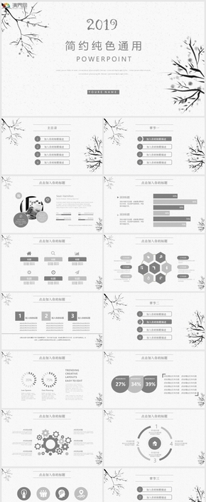 2019簡(jiǎn)約純色通用PPT模板