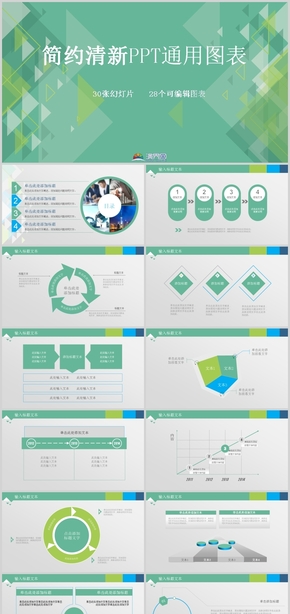 簡(jiǎn)約清新PPT通用圖表合集