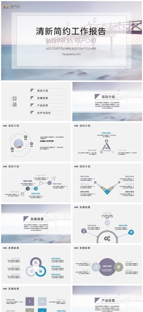 淡雅清新簡約工作總結(jié)PPT模板