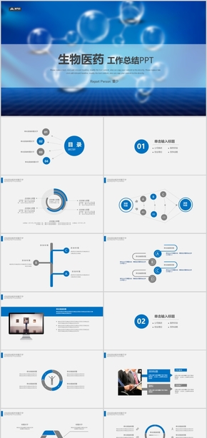 生物醫(yī)藥工作總結PPT