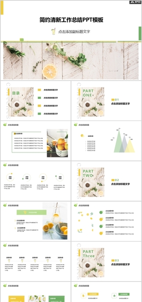 簡(jiǎn)約清新工作總結(jié)PPT模板
