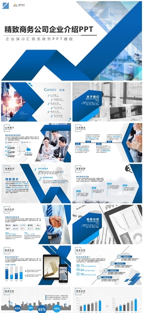 精致商務(wù)公司企業(yè)介紹PPT