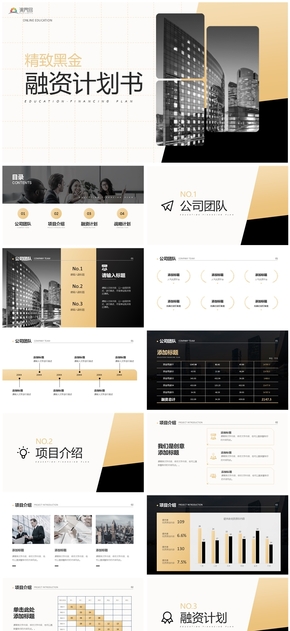 黑金商務風企業(yè)融資計劃書PPT模板