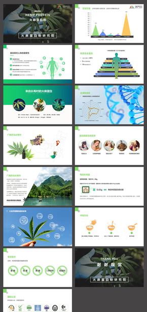 綠色 火麻蛋白粉產品推介PPT