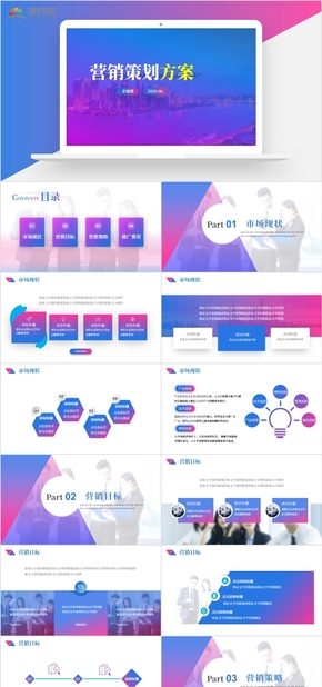 2020年營銷策劃方案項目推廣網(wǎng)絡營銷PPT