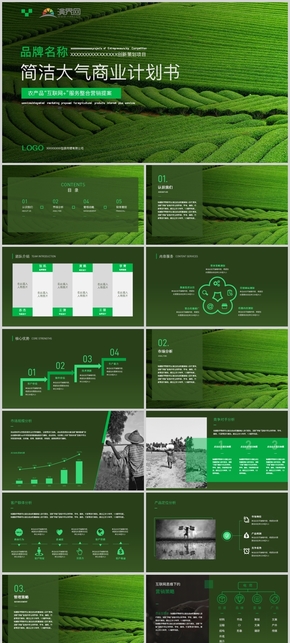 深綠簡(jiǎn)潔大氣商業(yè)計(jì)劃書(shū)PPT模板