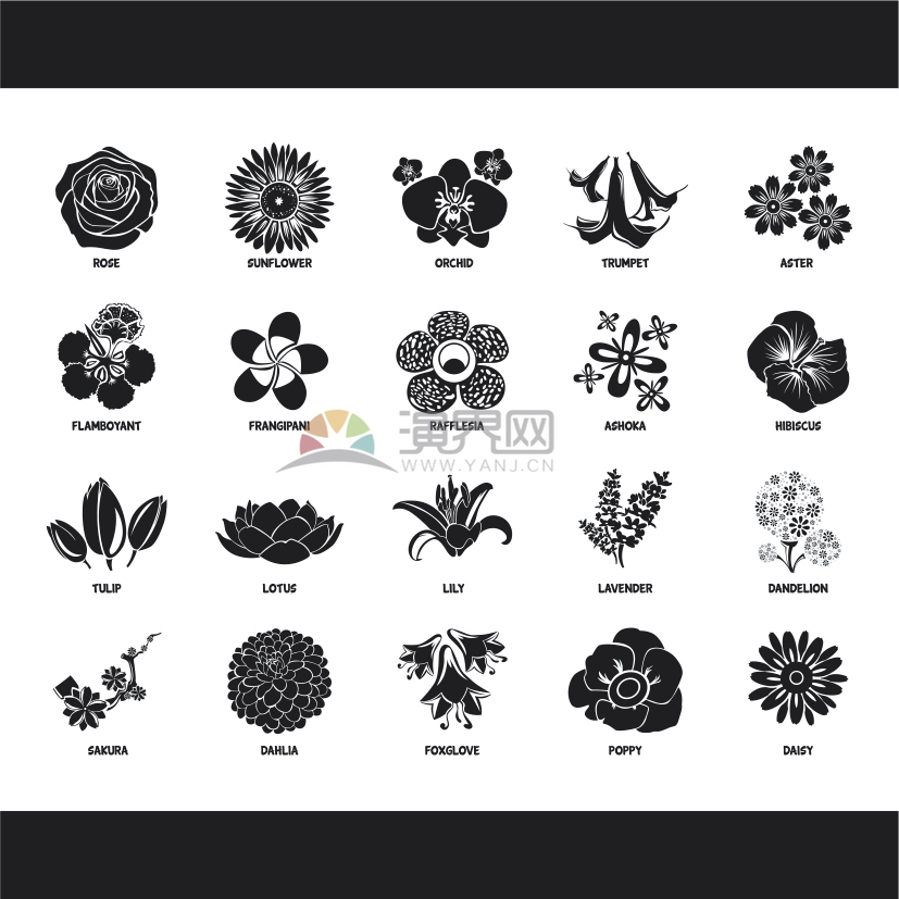 黑色花朵系列圖標合集設計