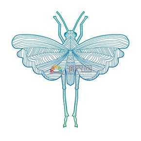 簡約設計線條流暢實用花紋裝飾小動物昆蟲圖案