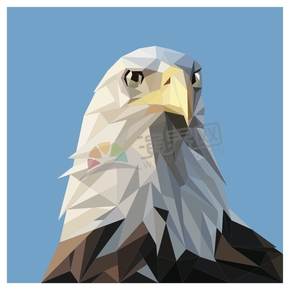  Geometry Polygon Triangle Solid Color Animal Eagle