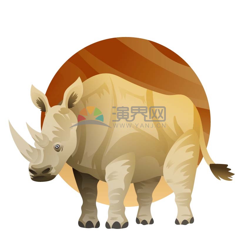 一只威武的白色犀牛